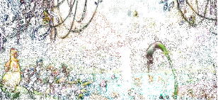 naminiai būdai padidinti savo varpą